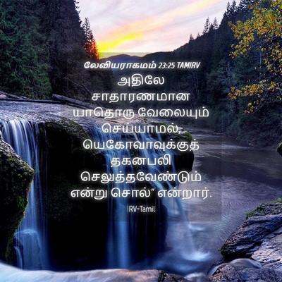 Picture 04 - லேவியராகமம் 23:25 TAMIRV - அதிலே சாதாரணமான - Bible Verse Picture