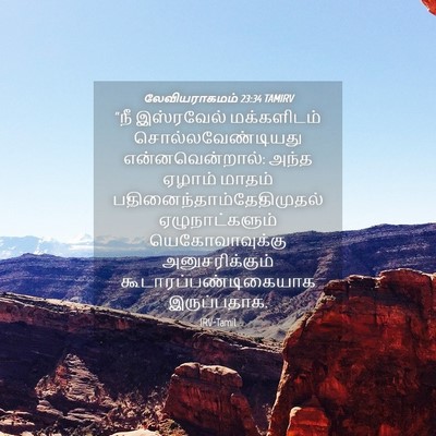 Picture 04 - லேவியராகமம் 23:34 TAMIRV - “நீ இஸ்ரவேல் - Bible Verse Picture