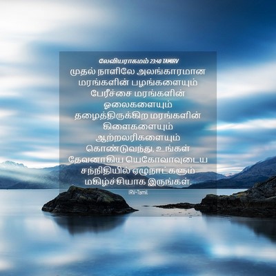 Picture 04 - லேவியராகமம் 23:40 TAMIRV - முதல் நாளிலே - Bible Verse Picture