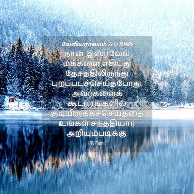 Picture 04 - லேவியராகமம் 23:42 TAMIRV - நான் இஸ்ரவேல் - Bible Verse Picture