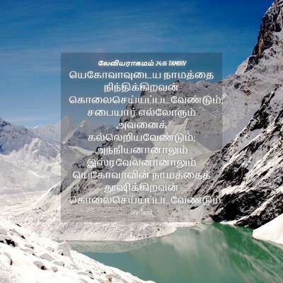 Picture 04 - லேவியராகமம் 24:16 TAMIRV - யெகோவாவுடைய - Bible Verse Picture