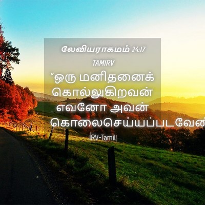 Picture 04 - லேவியராகமம் 24:17 TAMIRV - “ஒரு மனிதனைக் - Bible Verse Picture