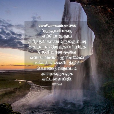 Picture 04 - லேவியராகமம் 24:2 TAMIRV - “குத்துவிளக்கு - Bible Verse Picture