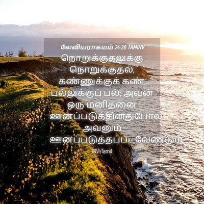 Picture 04 - லேவியராகமம் 24:20 TAMIRV - நொறுக்குதலுக்கு - Bible Verse Picture