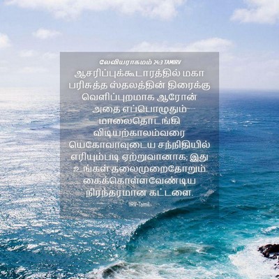 Picture 04 - லேவியராகமம் 24:3 TAMIRV -  - Bible Verse Picture