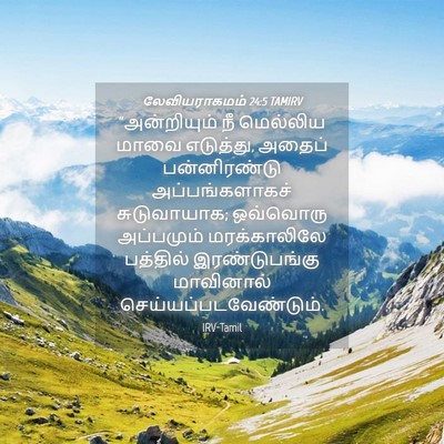 Picture 04 - லேவியராகமம் 24:5 TAMIRV - “அன்றியும் நீ - Bible Verse Picture