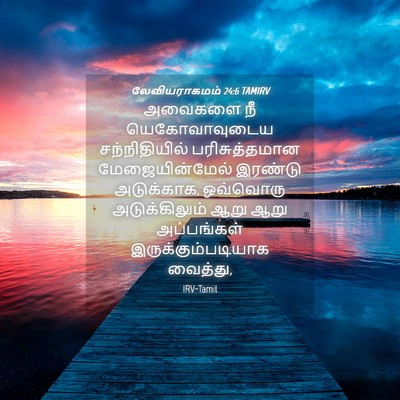 Picture 04 - லேவியராகமம் 24:6 TAMIRV - அவைகளை நீ - Bible Verse Picture