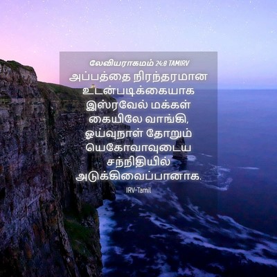 Picture 04 - லேவியராகமம் 24:8 TAMIRV - அப்பத்தை - Bible Verse Picture