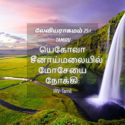 Picture 04 - லேவியராகமம் 25:1 TAMIRV - யெகோவா - Bible Verse Picture