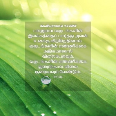 Picture 04 - லேவியராகமம் 25:16 TAMIRV - பலனுள்ள - Bible Verse Picture