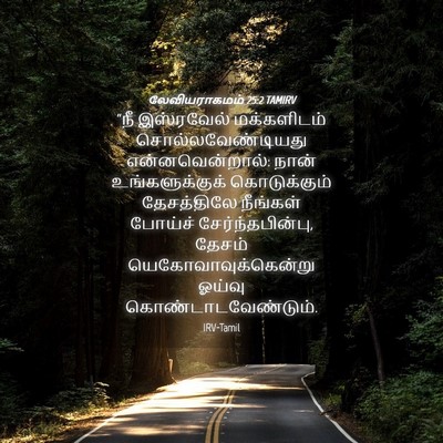 Picture 04 - லேவியராகமம் 25:2 TAMIRV - “நீ இஸ்ரவேல் - Bible Verse Picture