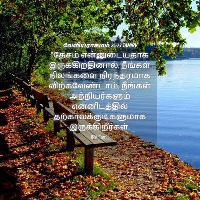 Picture 04 - லேவியராகமம் 25:23 TAMIRV - “தேசம் - Bible Verse Picture