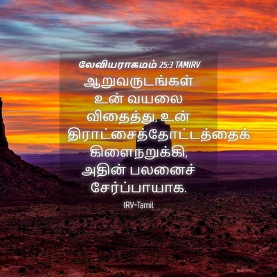 Picture 04 - லேவியராகமம் 25:3 TAMIRV - ஆறுவருடங்கள் உன் - Bible Verse Picture