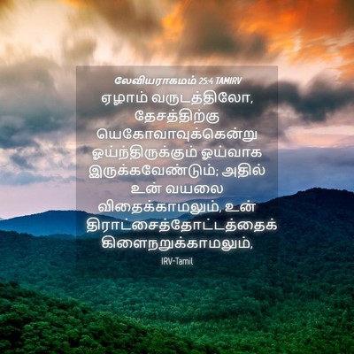 Picture 04 - லேவியராகமம் 25:4 TAMIRV - ஏழாம் வருடத்திலோ, - Bible Verse Picture