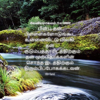 Picture 04 - லேவியராகமம் 25:41 TAMIRV - பின்பு, தன் - Bible Verse Picture
