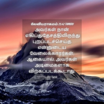 Picture 04 - லேவியராகமம் 25:42 TAMIRV - அவர்கள் நான் - Bible Verse Picture