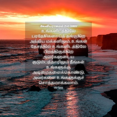 Picture 04 - லேவியராகமம் 25:45 TAMIRV - உங்களிடத்திலே - Bible Verse Picture