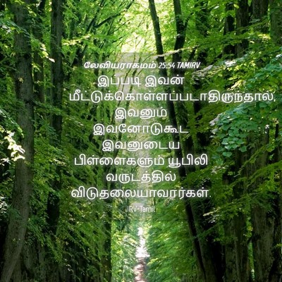 Picture 04 - லேவியராகமம் 25:54 TAMIRV - இப்படி இவன் - Bible Verse Picture