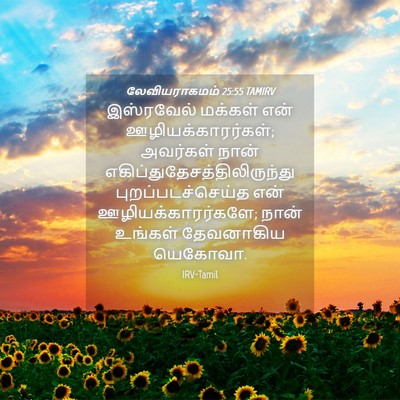 Picture 04 - லேவியராகமம் 25:55 TAMIRV - இஸ்ரவேல் மக்கள் - Bible Verse Picture