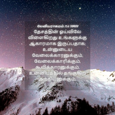 Picture 04 - லேவியராகமம் 25:6 TAMIRV - தேசத்தின் ஓய்விலே - Bible Verse Picture