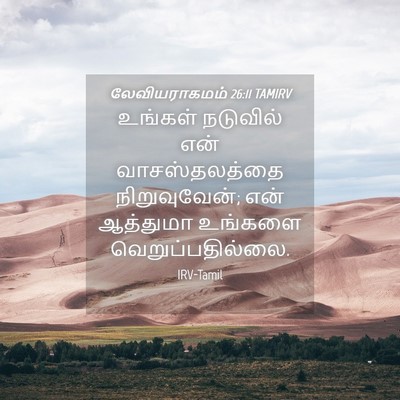 Picture 04 - லேவியராகமம் 26:11 TAMIRV - உங்கள் நடுவில் - Bible Verse Picture