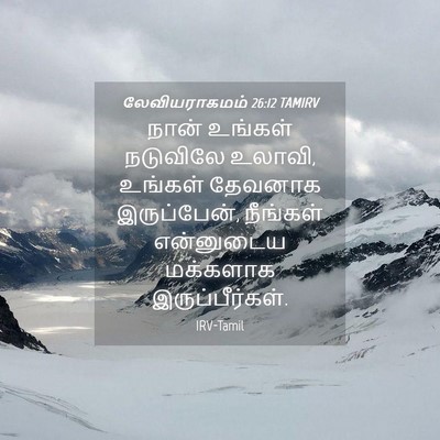 Picture 04 - லேவியராகமம் 26:12 TAMIRV - நான் உங்கள் - Bible Verse Picture