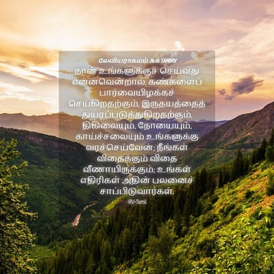 Picture 04 - லேவியராகமம் 26:16 TAMIRV - நான் உங்களுக்குச் - Bible Verse Picture