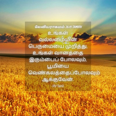 Picture 04 - லேவியராகமம் 26:19 TAMIRV - உங்கள் வல்லமையின் - Bible Verse Picture