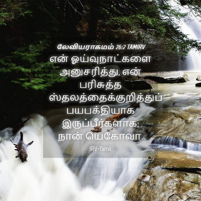 Picture 04 - லேவியராகமம் 26:2 TAMIRV - என் ஓய்வுநாட்களை - Bible Verse Picture