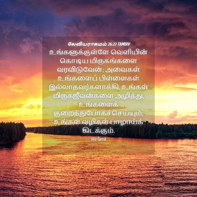 Picture 04 - லேவியராகமம் 26:22 TAMIRV - உங்களுக்குள்ளே - Bible Verse Picture