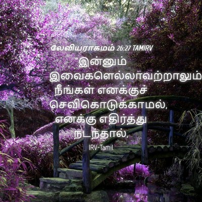Picture 04 - லேவியராகமம் 26:27 TAMIRV - “இன்னும் - Bible Verse Picture