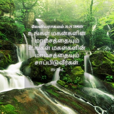 Picture 04 - லேவியராகமம் 26:29 TAMIRV - உங்கள் மகன்களின் - Bible Verse Picture