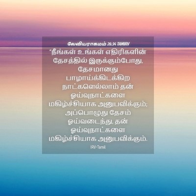 Picture 04 - லேவியராகமம் 26:34 TAMIRV - “நீங்கள் உங்கள் - Bible Verse Picture