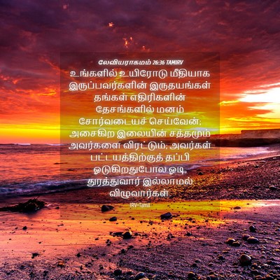 Picture 04 - லேவியராகமம் 26:36 TAMIRV - உங்களில் உயிரோடு - Bible Verse Picture