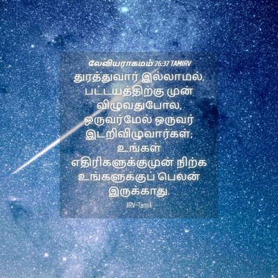 Picture 04 - லேவியராகமம் 26:37 TAMIRV - துரத்துவார் - Bible Verse Picture