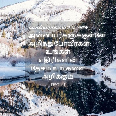 Picture 04 - லேவியராகமம் 26:38 TAMIRV -  - Bible Verse Picture