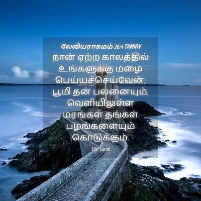 Picture 04 - லேவியராகமம் 26:4 TAMIRV - நான் ஏற்ற - Bible Verse Picture