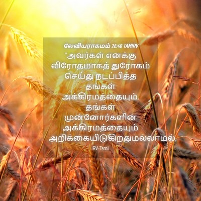 Picture 04 - லேவியராகமம் 26:40 TAMIRV - “அவர்கள் எனக்கு - Bible Verse Picture