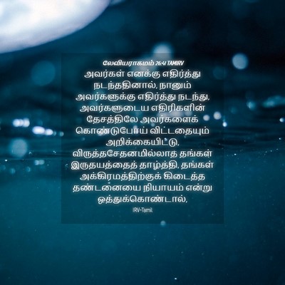 Picture 04 - லேவியராகமம் 26:41 TAMIRV - அவர்கள் எனக்கு - Bible Verse Picture