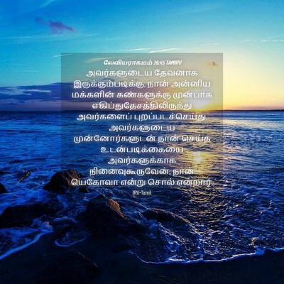 Picture 04 - லேவியராகமம் 26:45 TAMIRV - அவர்களுடைய தேவனாக - Bible Verse Picture