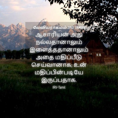 Picture 04 - லேவியராகமம் 27:12 TAMIRV - ஆசாரியன் அது - Bible Verse Picture