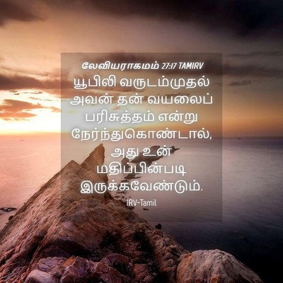 Picture 04 - லேவியராகமம் 27:17 TAMIRV - யூபிலி - Bible Verse Picture