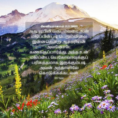 Picture 04 - லேவியராகமம் 27:23 TAMIRV - அது யூபிலி - Bible Verse Picture