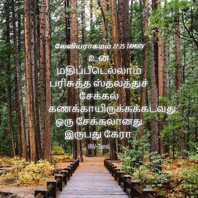 Picture 04 - லேவியராகமம் 27:25 TAMIRV - உன் - Bible Verse Picture