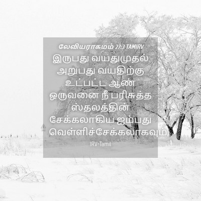 Picture 04 - லேவியராகமம் 27:3 TAMIRV - இருபது வயதுமுதல் - Bible Verse Picture