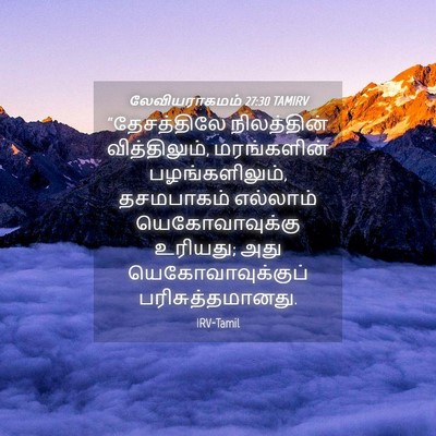 Picture 04 - லேவியராகமம் 27:30 TAMIRV - “தேசத்திலே - Bible Verse Picture