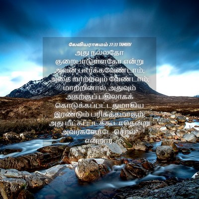 Picture 04 - லேவியராகமம் 27:33 TAMIRV - அது நல்லதோ - Bible Verse Picture