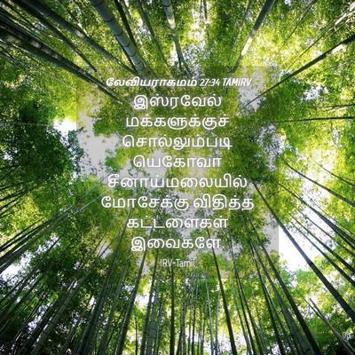Picture 04 - லேவியராகமம் 27:34 TAMIRV - இஸ்ரவேல் - Bible Verse Picture