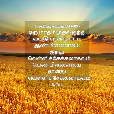 Picture 04 - லேவியராகமம் 27:6 TAMIRV - ஒரு மாதம்முதல் - Bible Verse Picture