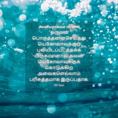Picture 04 - லேவியராகமம் 27:9 TAMIRV - “ஒருவன் - Bible Verse Picture